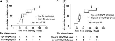 Immune Characteristics of IgA Nephropathy With Minimal Change Disease